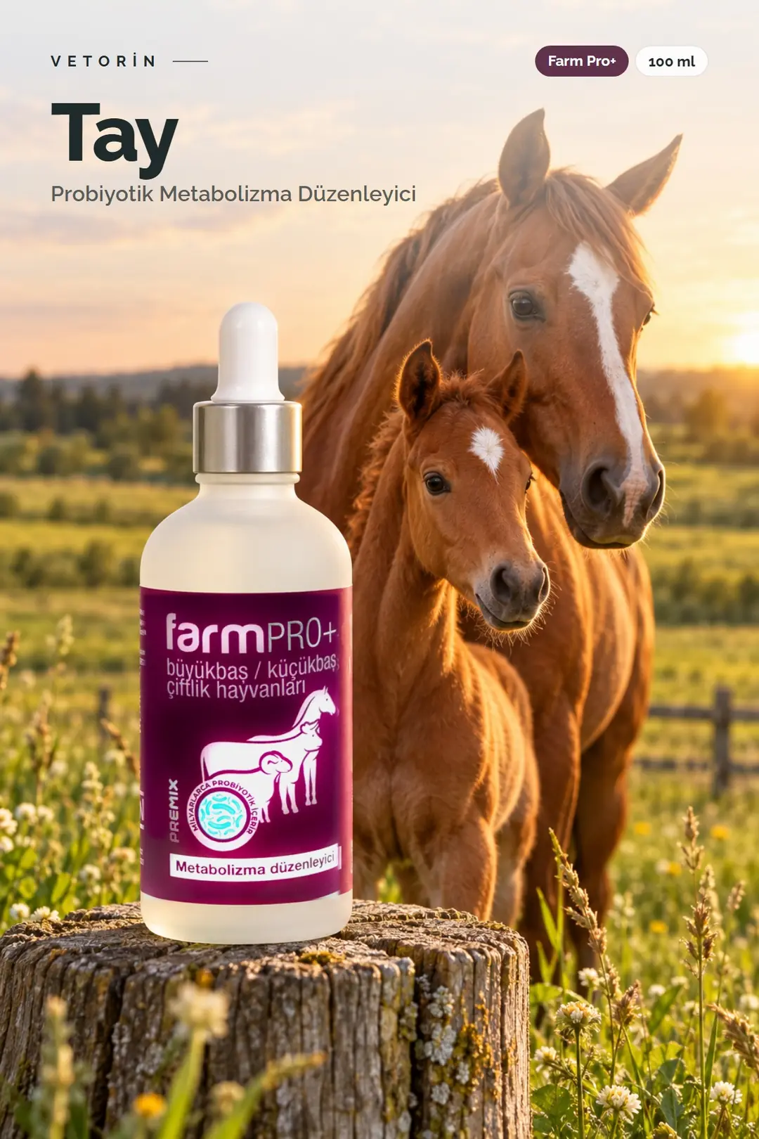 Tay ve Vetorin Farm Pro+ şişesi