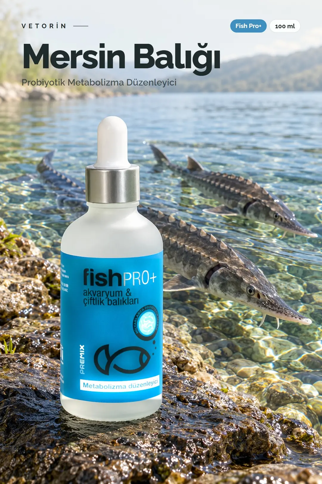 Mersin balığı ve Vetorin Fish Pro+ şişesi