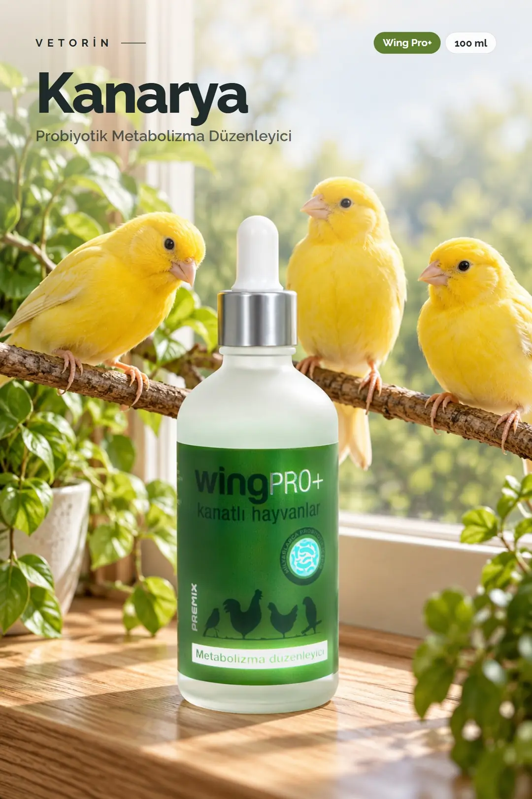 Kanarya ve Vetorin Wing Pro+ şişesi