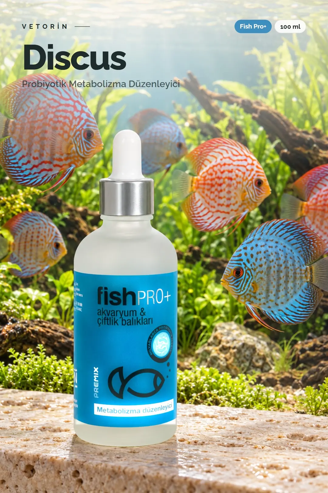 Discus balığı ve Vetorin Fish Pro+ şişesi