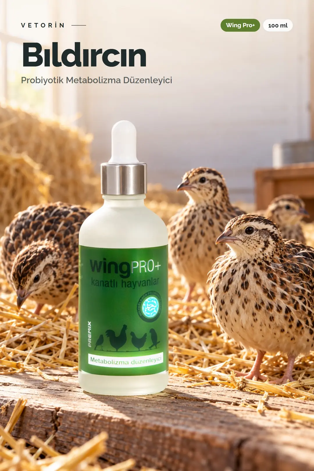 Bıldırcın ve Vetorin Wing Pro+ şişesi