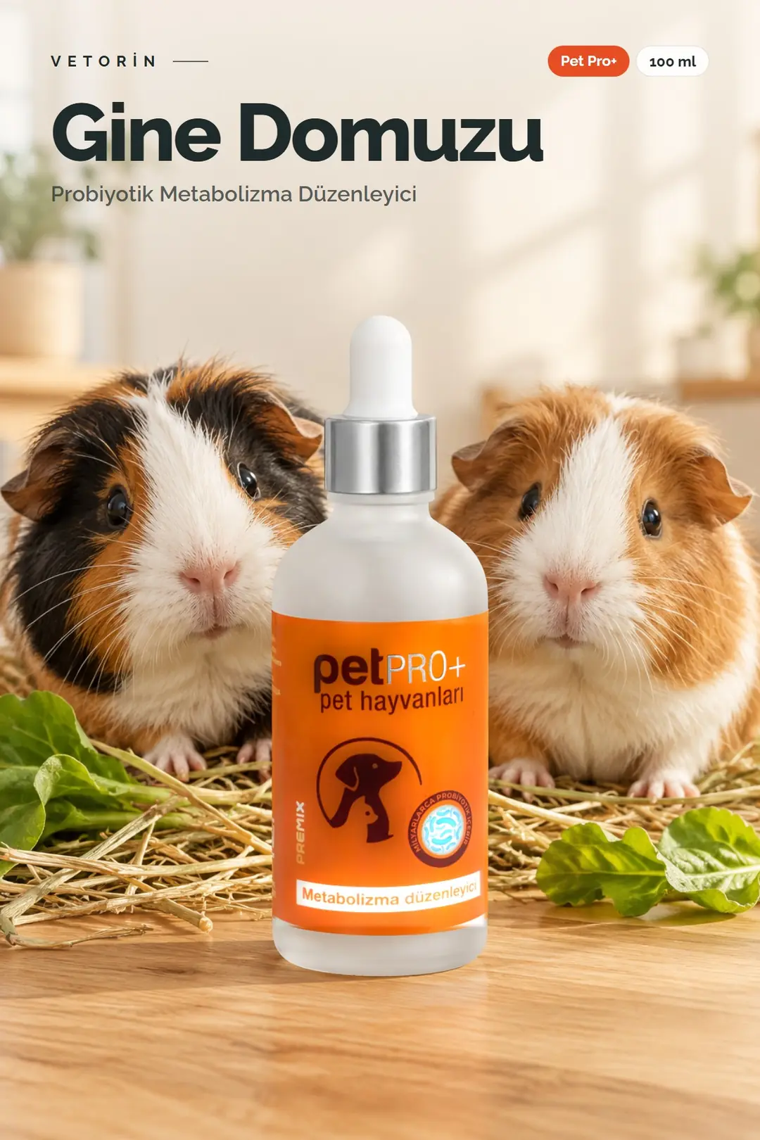 Ginepig ve Vetorin Pet Pro+ şişesi