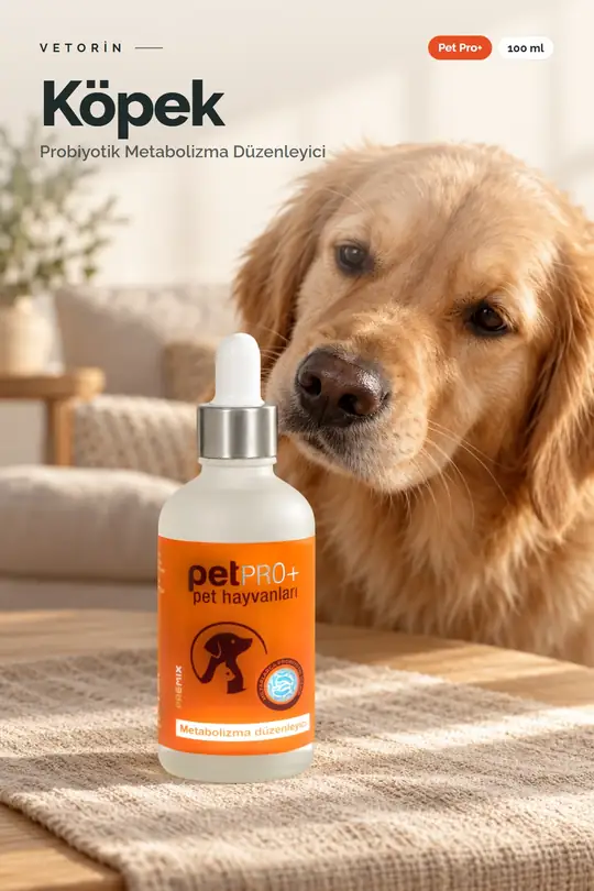 Köpek Probiyotik & Sindirim Sistemi Desteği 100 ml