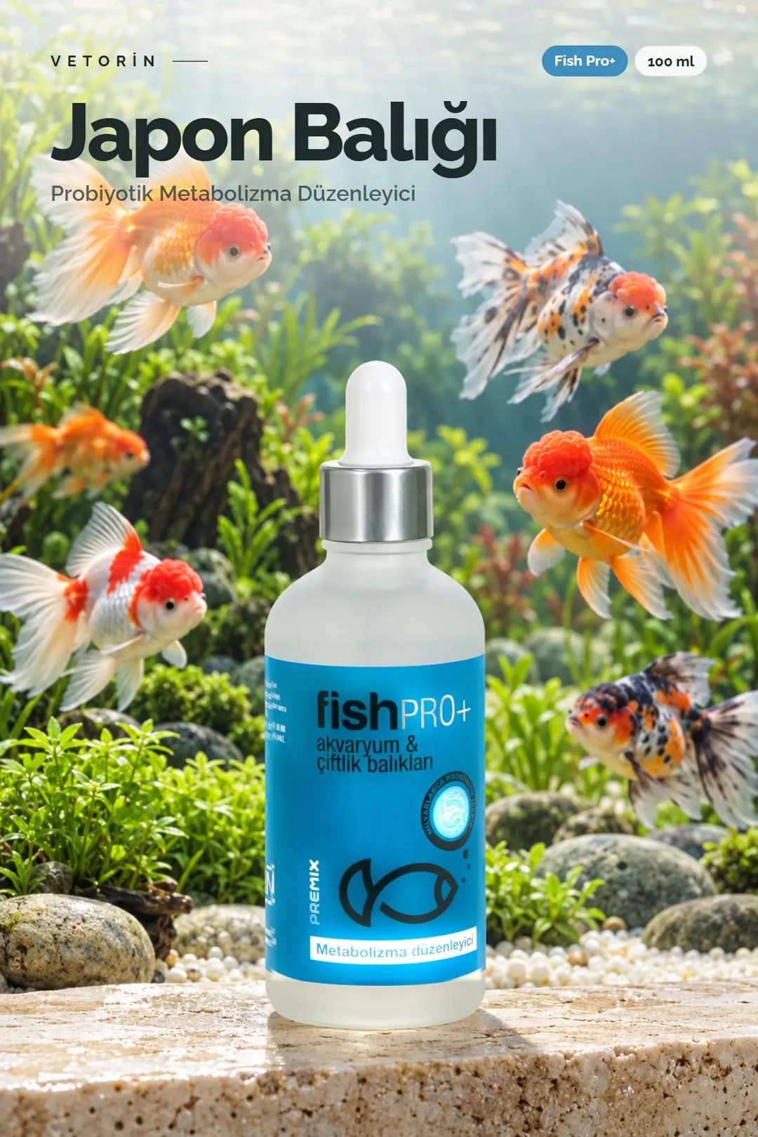 Japon balığı ve Vetorin Fish Pro+ şişesi