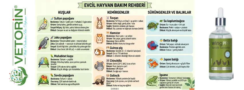 Egzotik hayvan sahipliğinin artması, beraberinde bakım ve refah sorunlarını da getirmektedir. Bilgi eksikliği, yanlış bakım koşulları ve yetersiz veteriner hizmetleri bu sorunların temel nedenleridir.