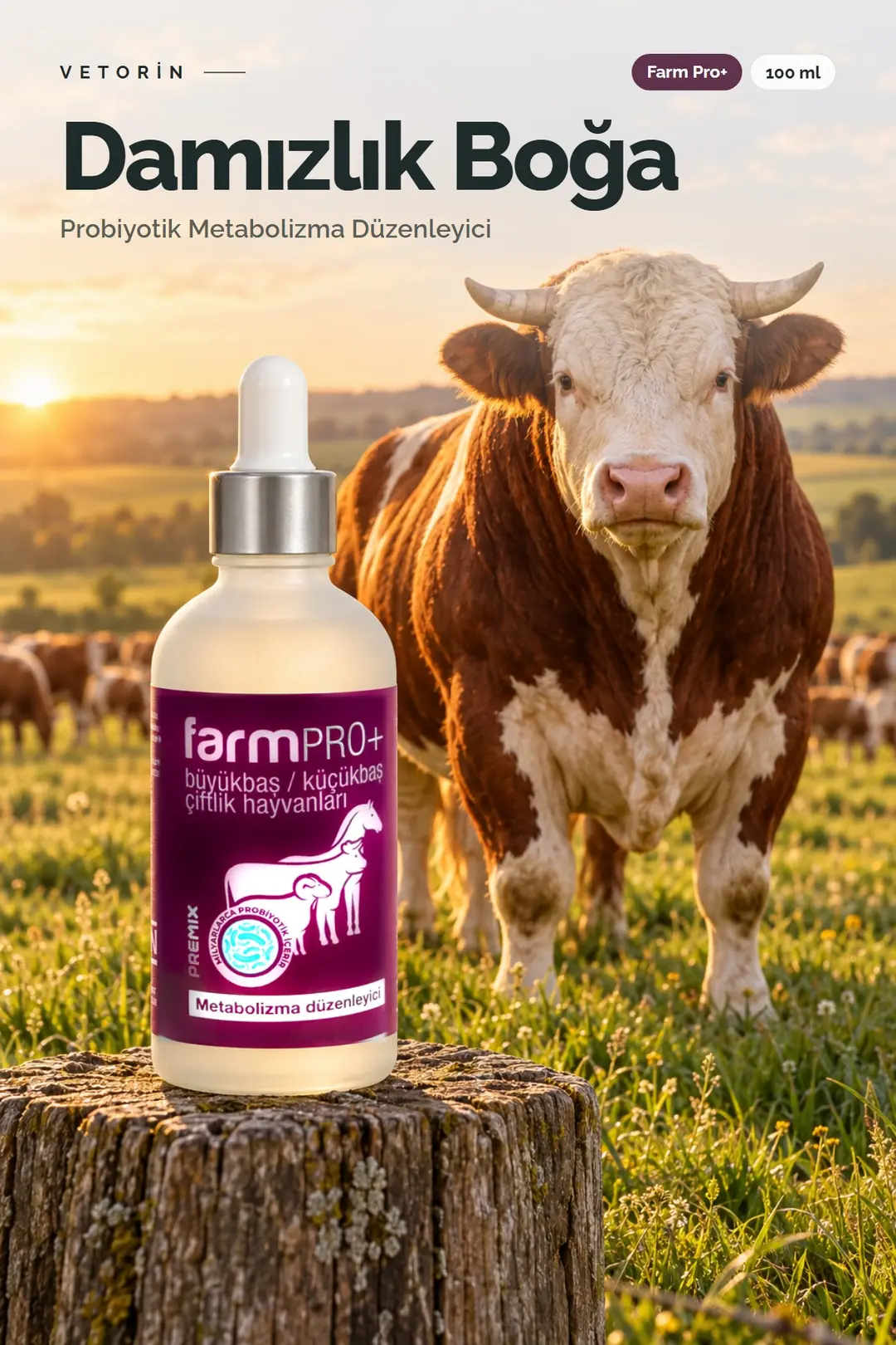 Damızlık Boğa ve Vetorin Farm Pro+ şişesi