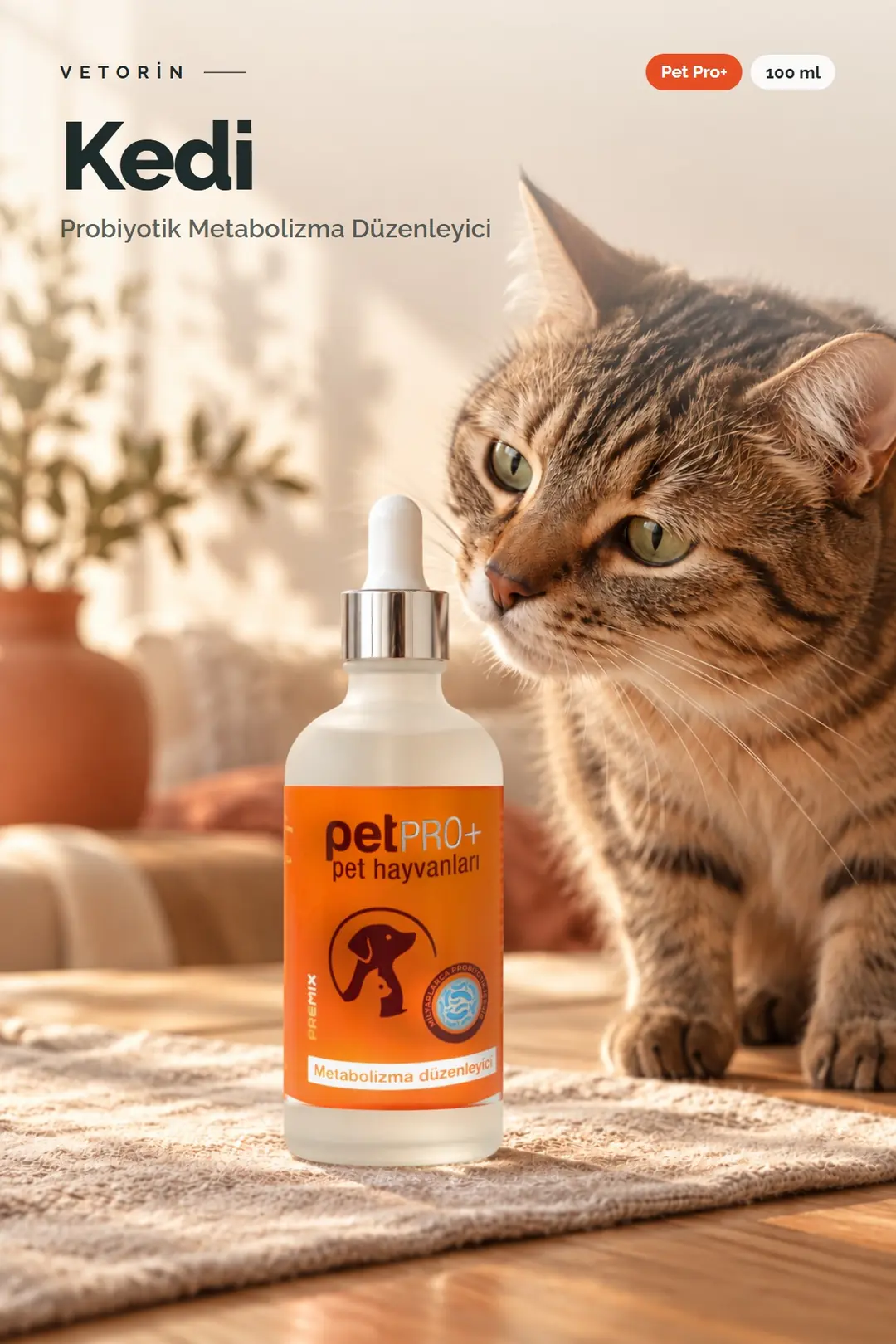 Kedi ve Vetorin Pet Pro+ şişesi