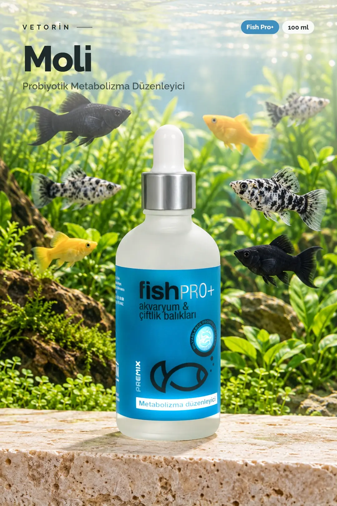 Moli balığı ve Vetorin Fish Pro+ şişesi