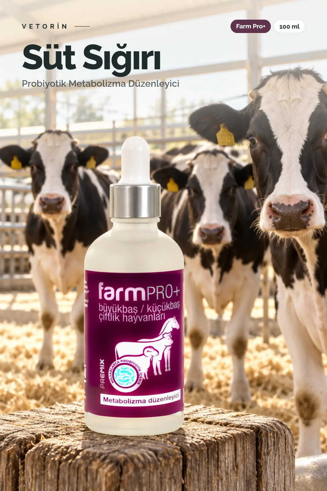 Süt Sığırı ve Vetorin Farm Pro+ şişesi