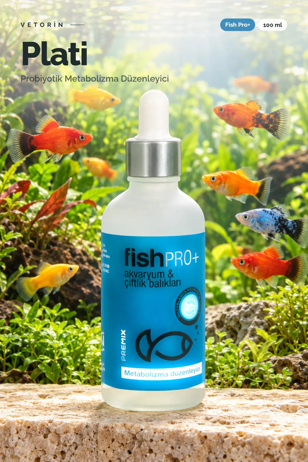 Plati balığı ve Vetorin Fish Pro+ şişesi