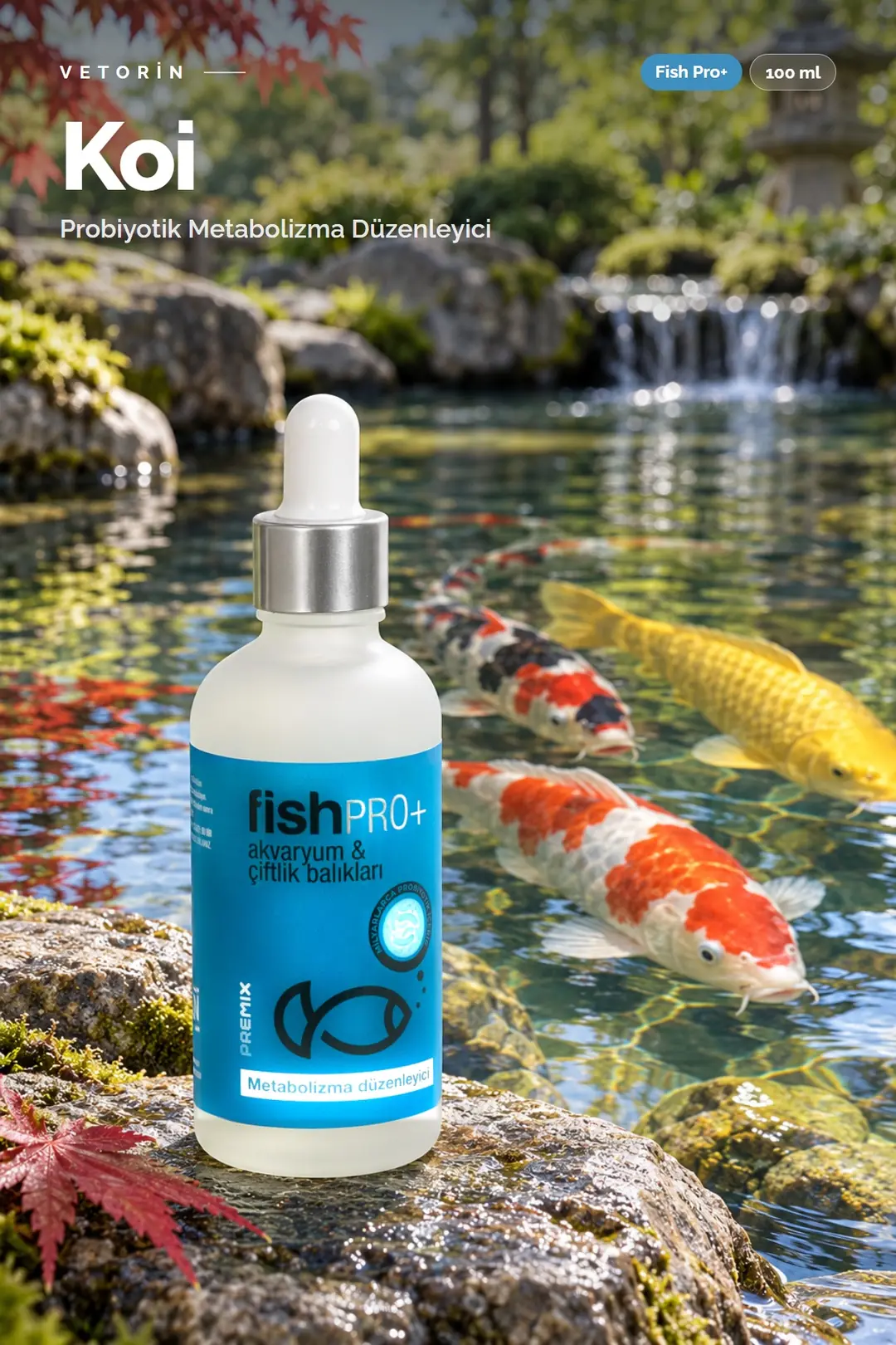 Koi balığı ve Vetorin Fish Pro+ şişesi