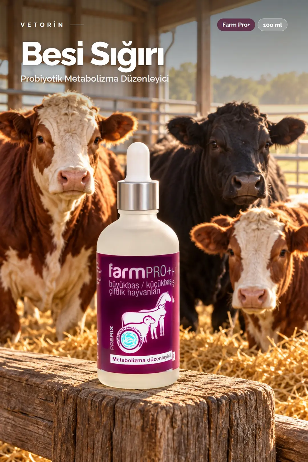 Besi Sığırı ve Vetorin Farm Pro+ şişesi