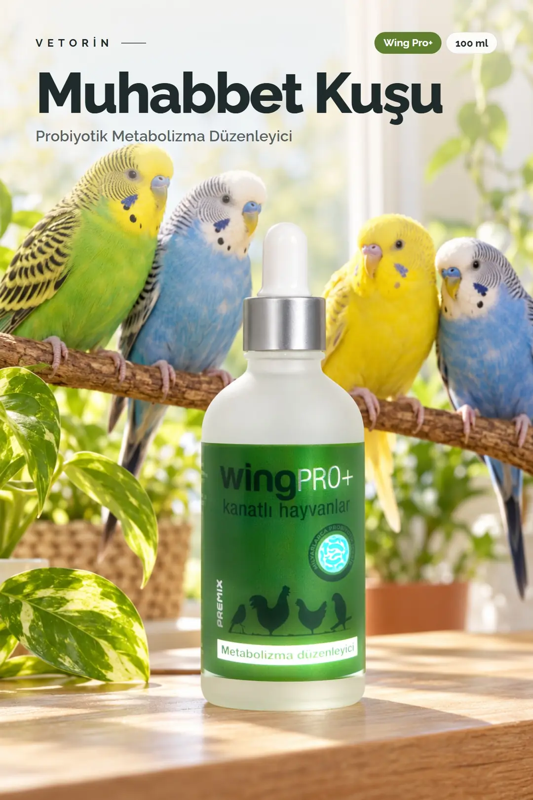 Muhabbet Kuşu ve Vetorin Wing Pro+ şişesi