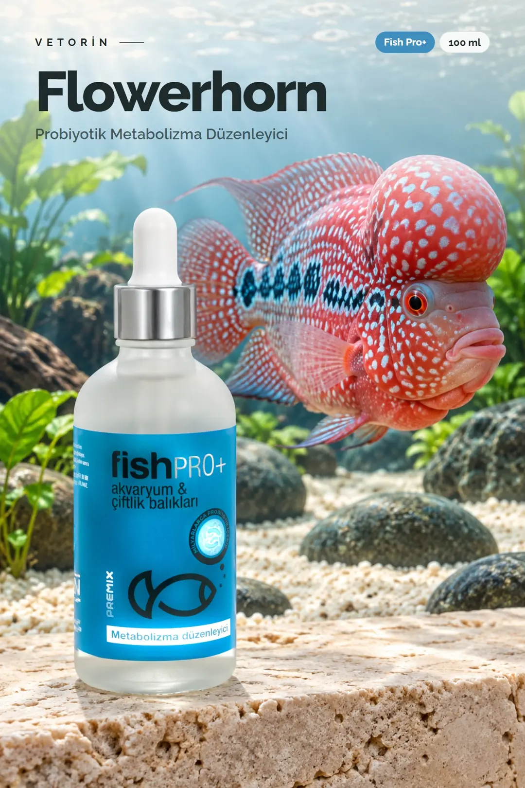 Flowerhorn Ciklet balığı ve Vetorin Fish Pro+ şişesi