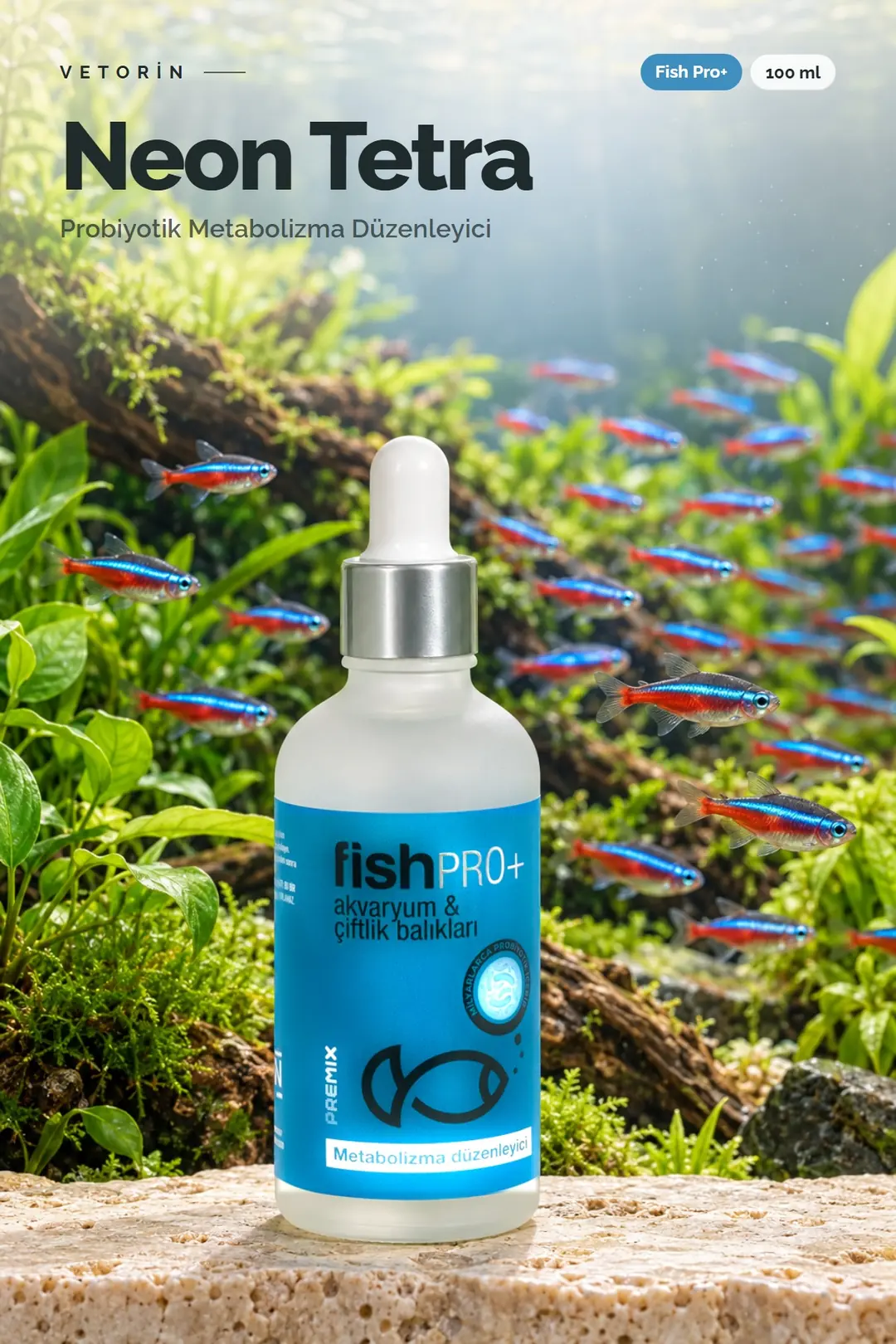 Neon Tetra balığı ve Vetorin Fish Pro+ şişesi