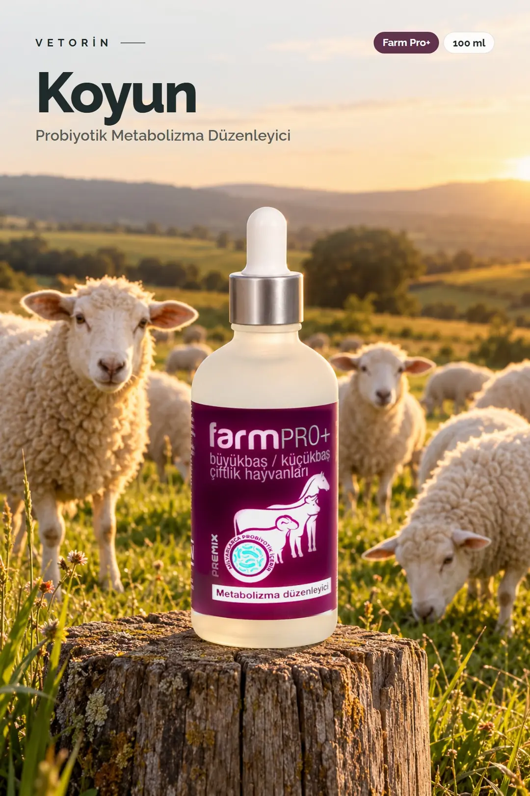 Koyun ve Vetorin Farm Pro+ şişesi