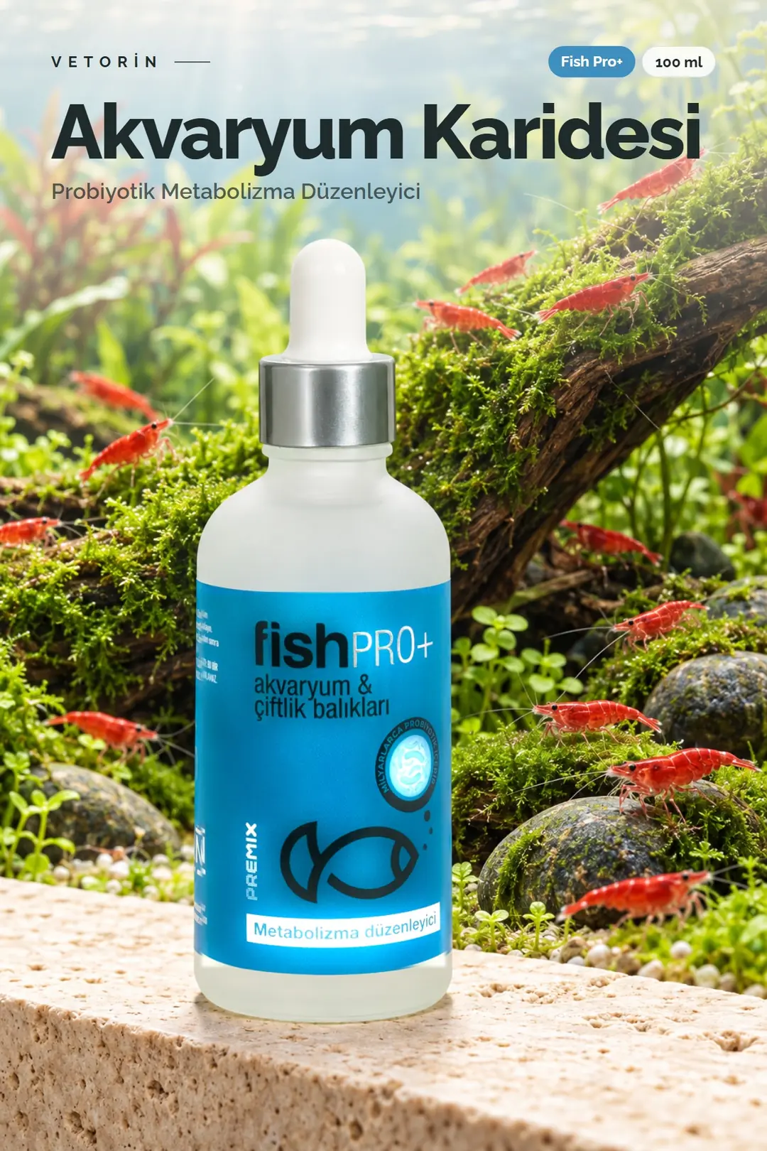 Akvaryum Karidesleri ve Vetorin Fish Pro+ şişesi