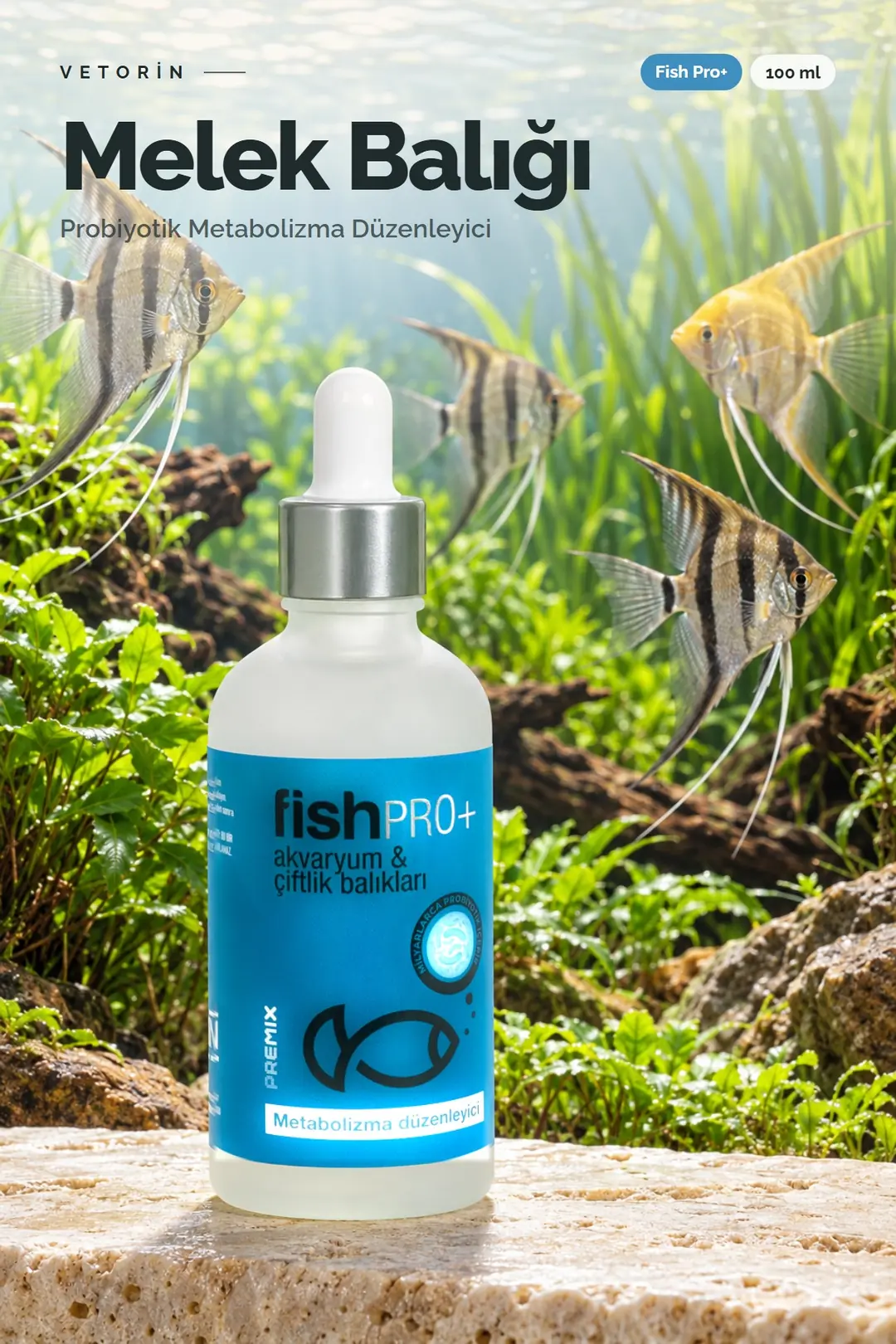 Melek balığı ve Vetorin Fish Pro+ şişesi