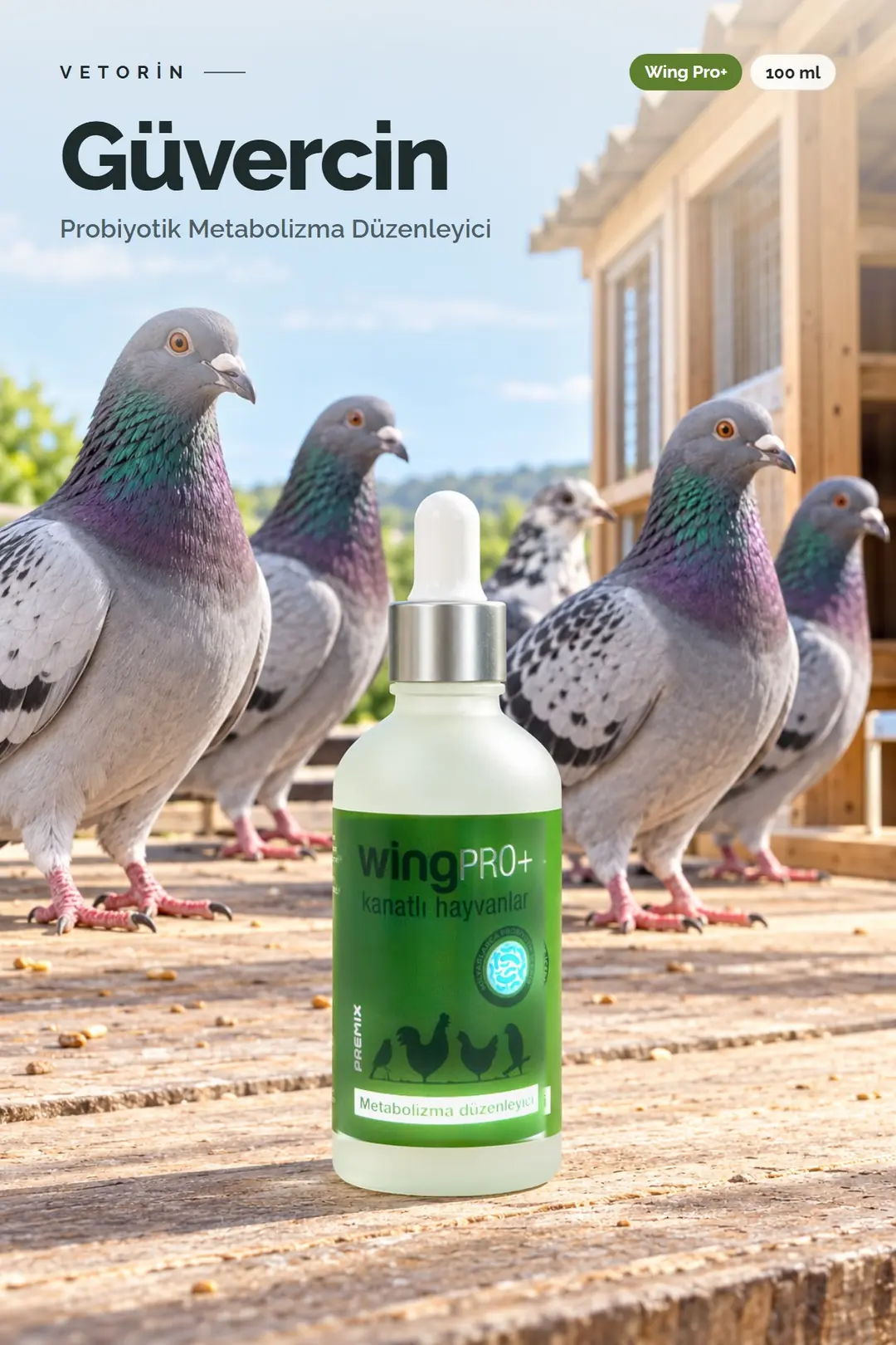 Güvercin ve Vetorin Wing Pro+ şişesi