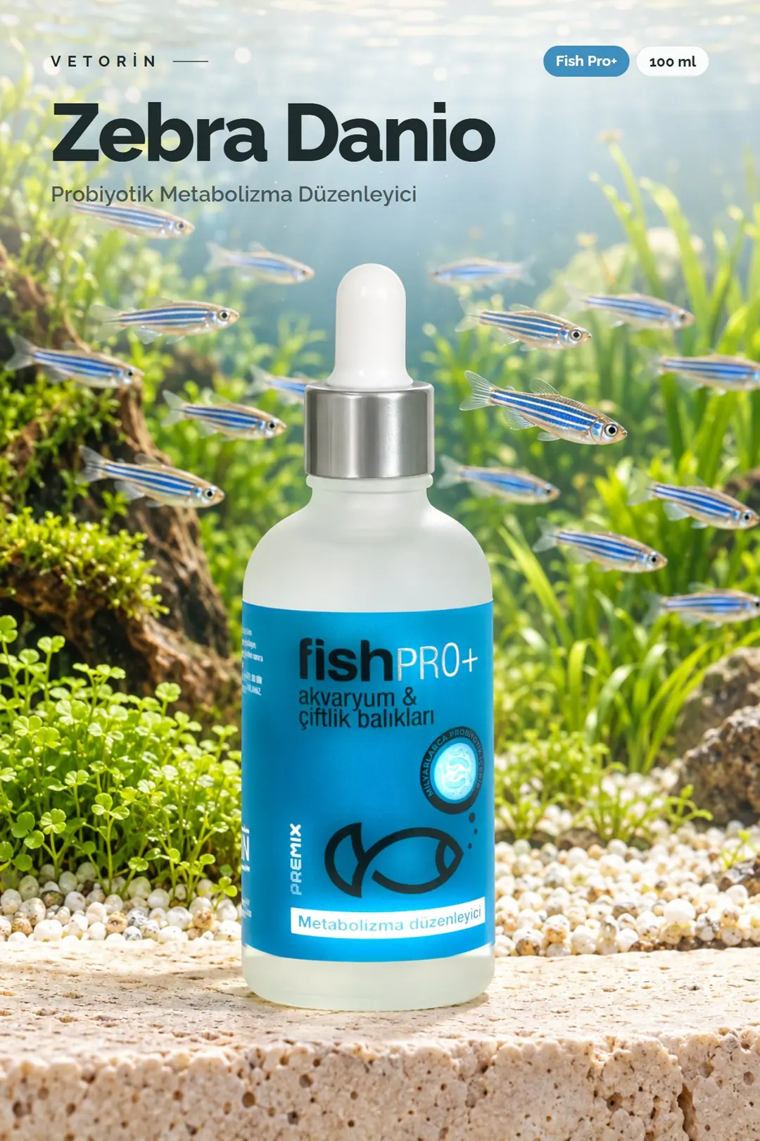 Zebra Danio balığı ve Vetorin Fish Pro+ şişesi