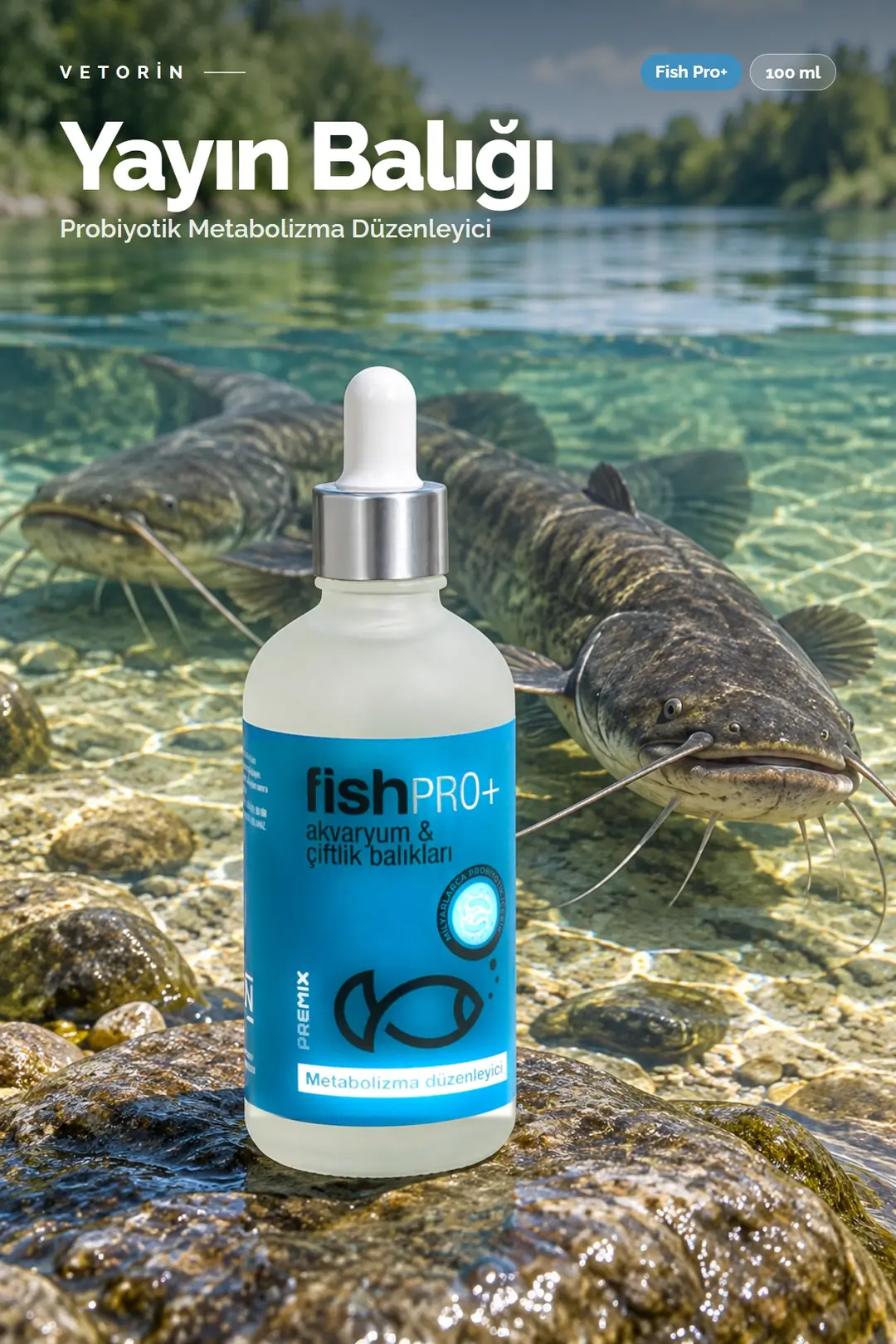Yayın balığı ve Vetorin Fish Pro+ şişesi