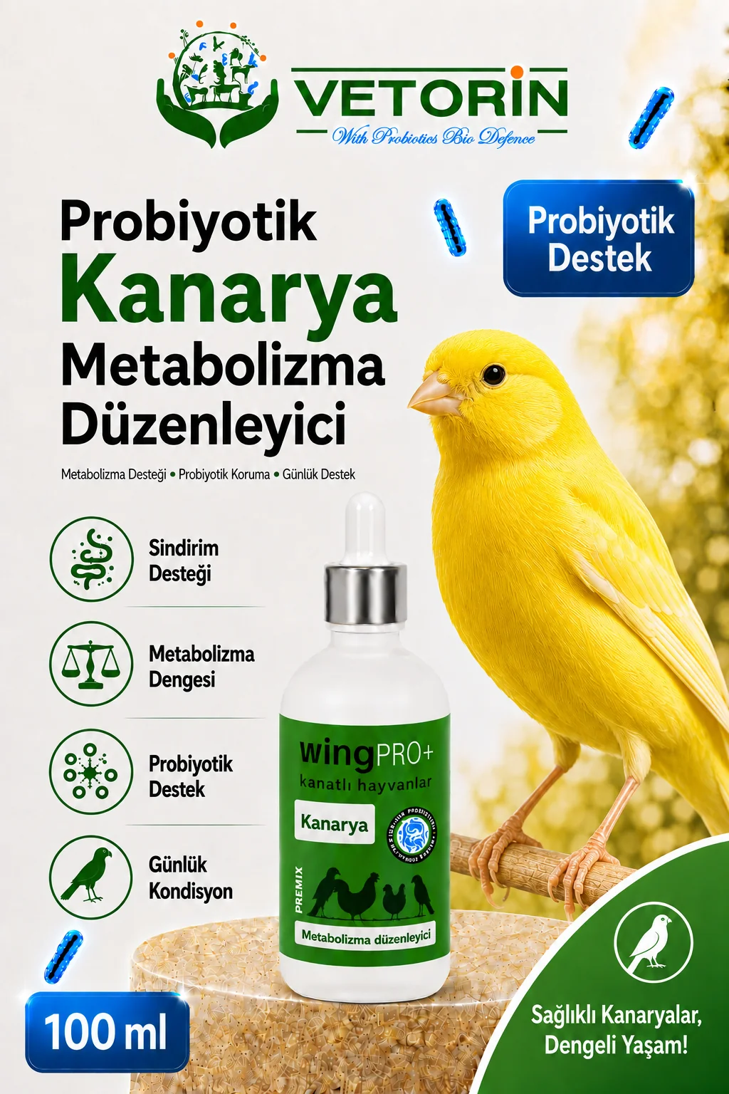 Probiyotikli Kanarya Sindirim Sistemi Desteği & Metabolizma Düzenleyici 100 ml