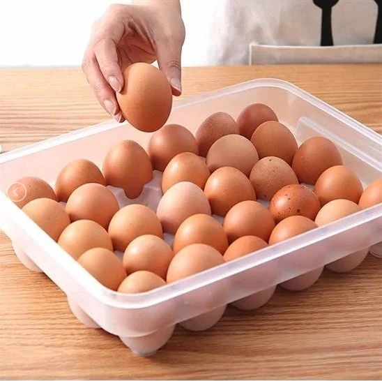 30'lu Kilitli Kapaklı Yumurta Kutusu