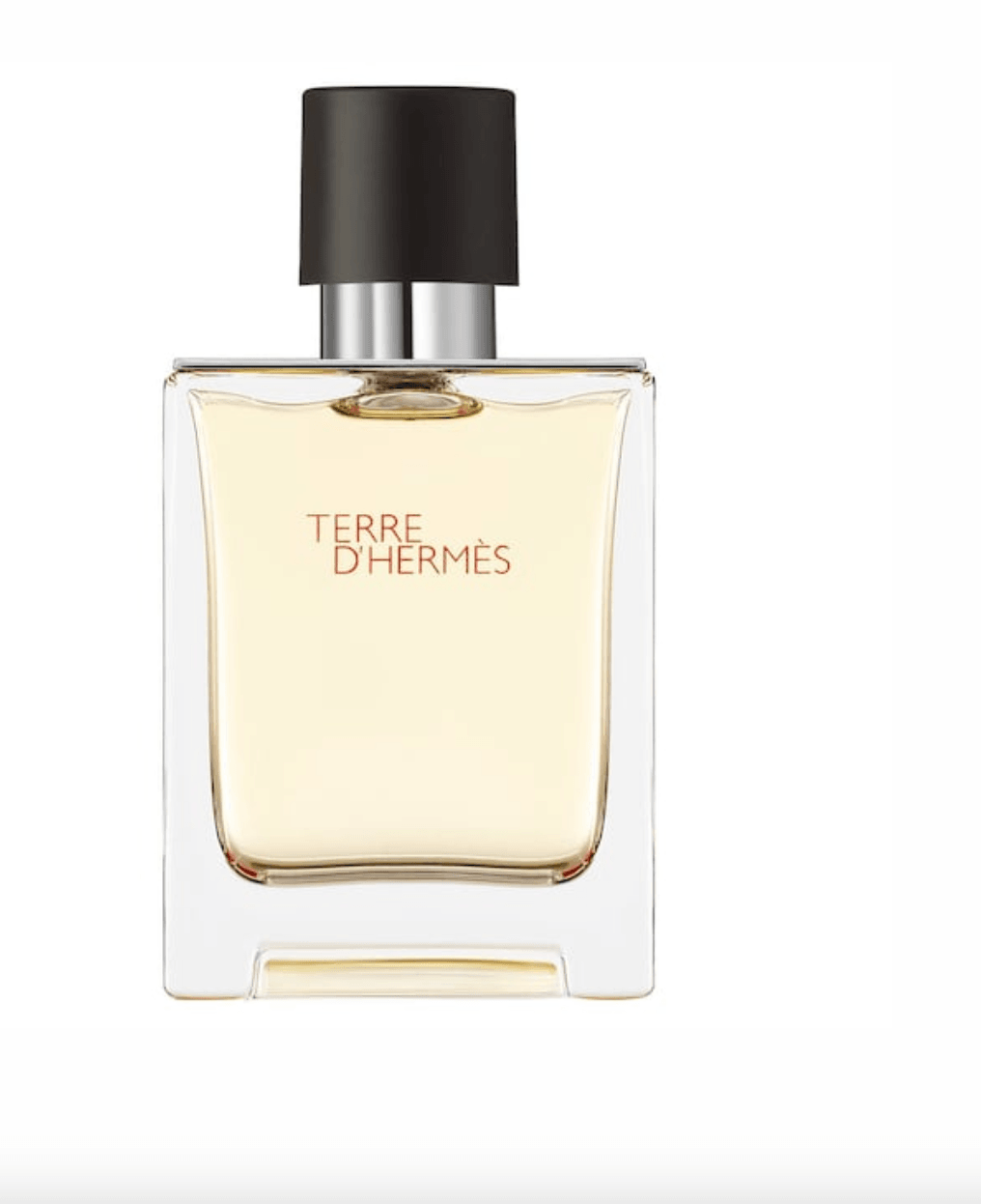 Terre D'Hermès Eau de Toilette 100 ML Parfüm