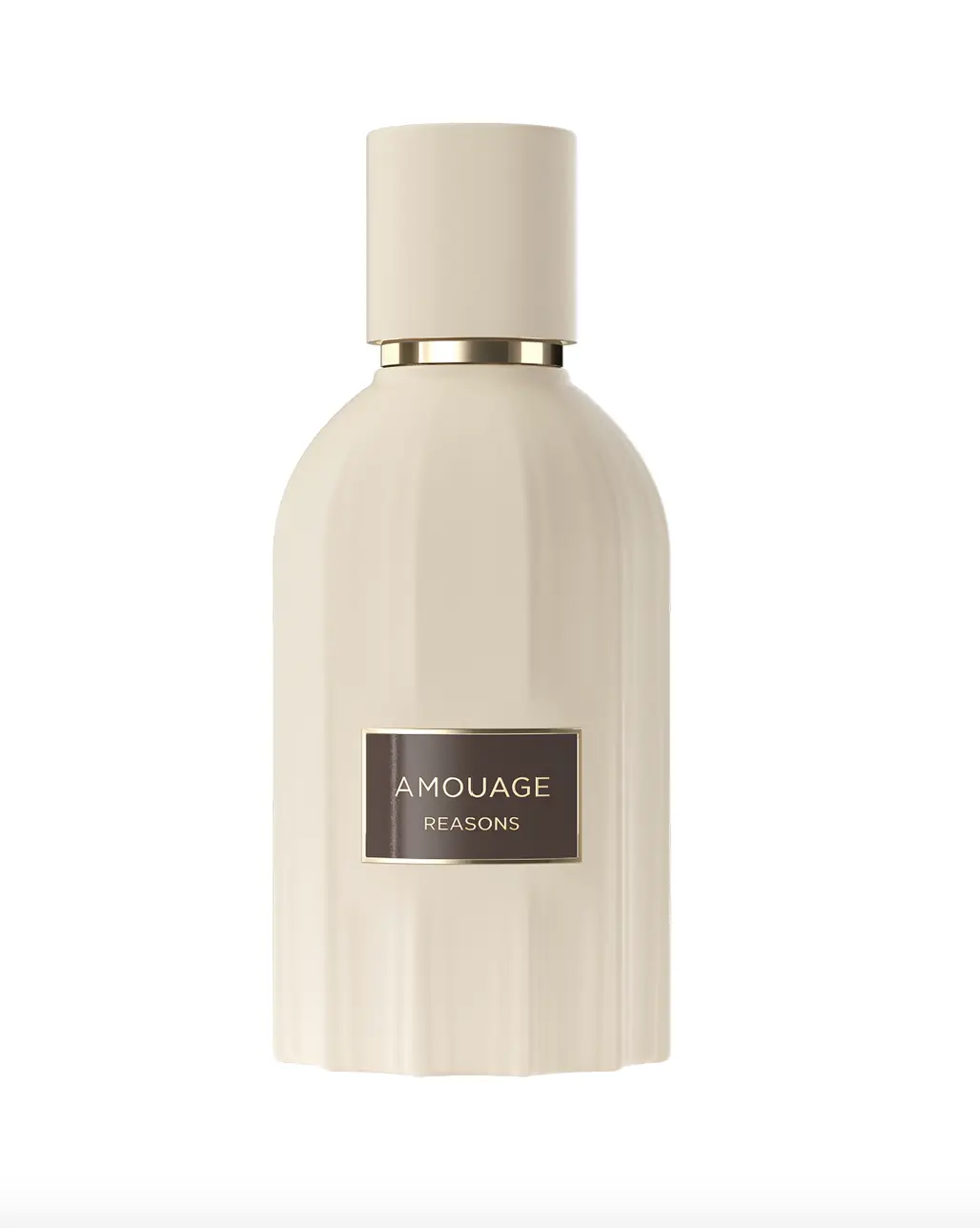 Amouage Reasons Essence De Parfum 100ml Spray