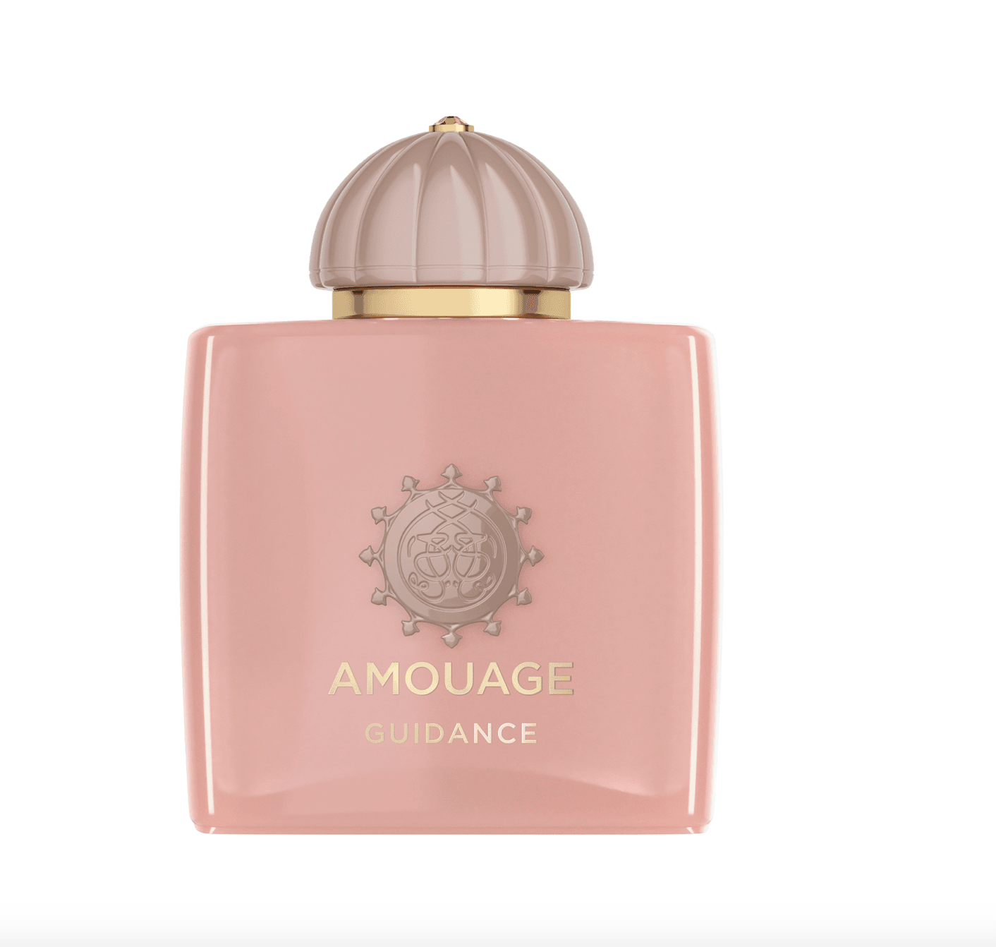 Amouage Guidance Edp 100 ml Parfüm