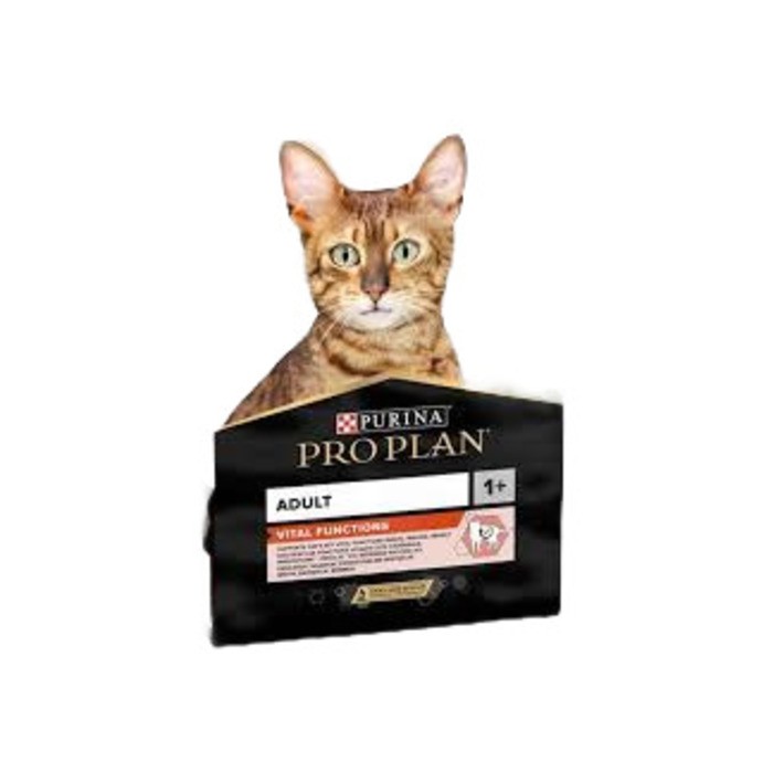 Somonlu Ve Pirinçli Yetişkin Kedi Maması 1,5 kg