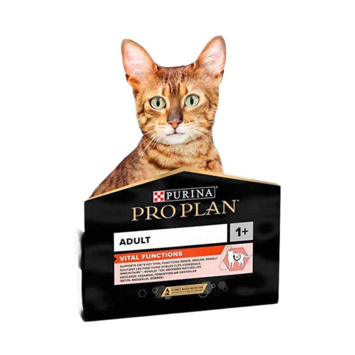 Somonlu Ve Pirinçli Yetişkin Kedi Maması 3 Kg