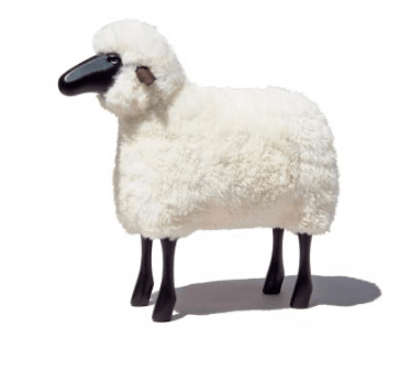 Meıer Sheep Medium Whıte 