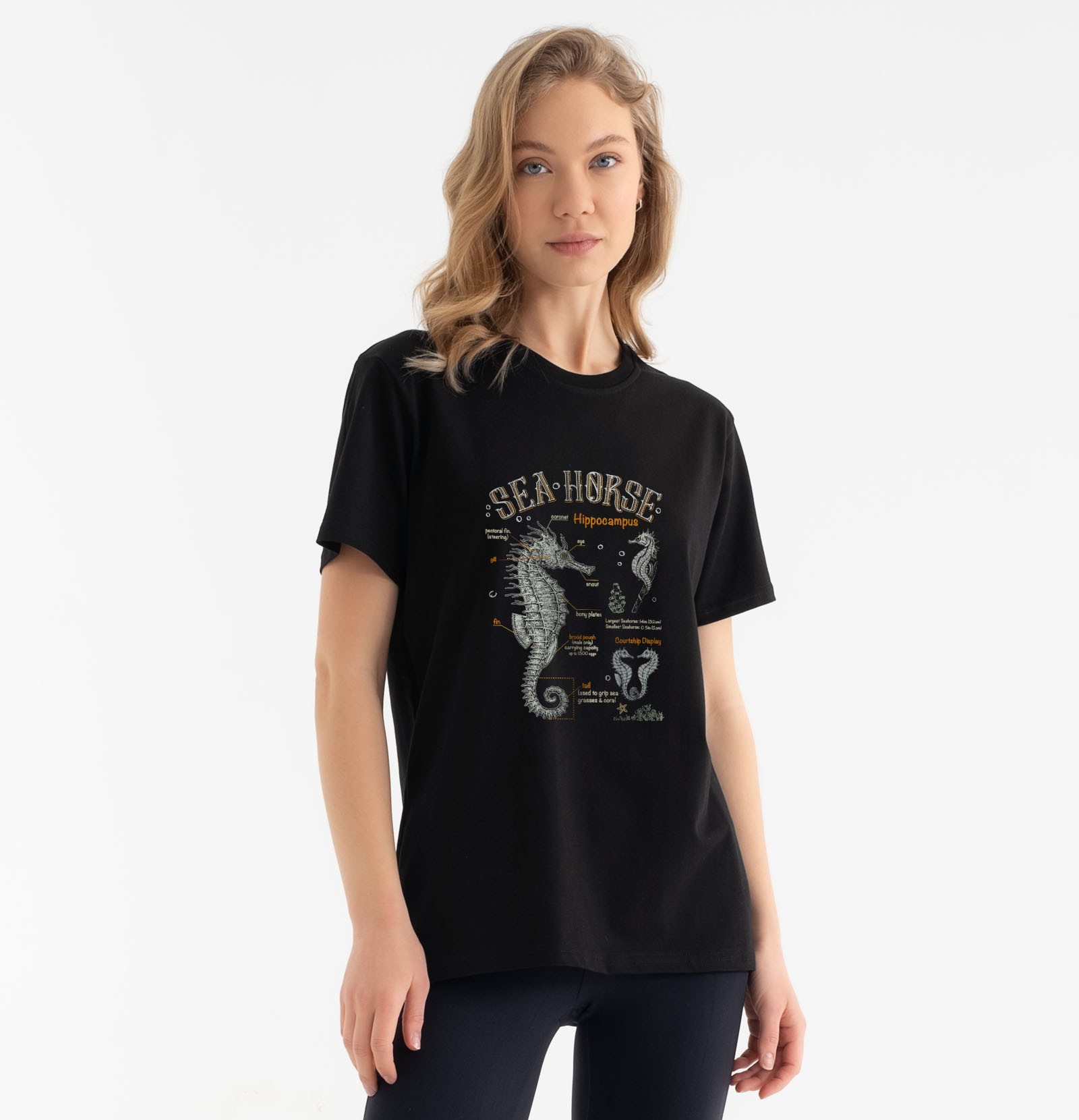 Sea Horse Graphic Tee