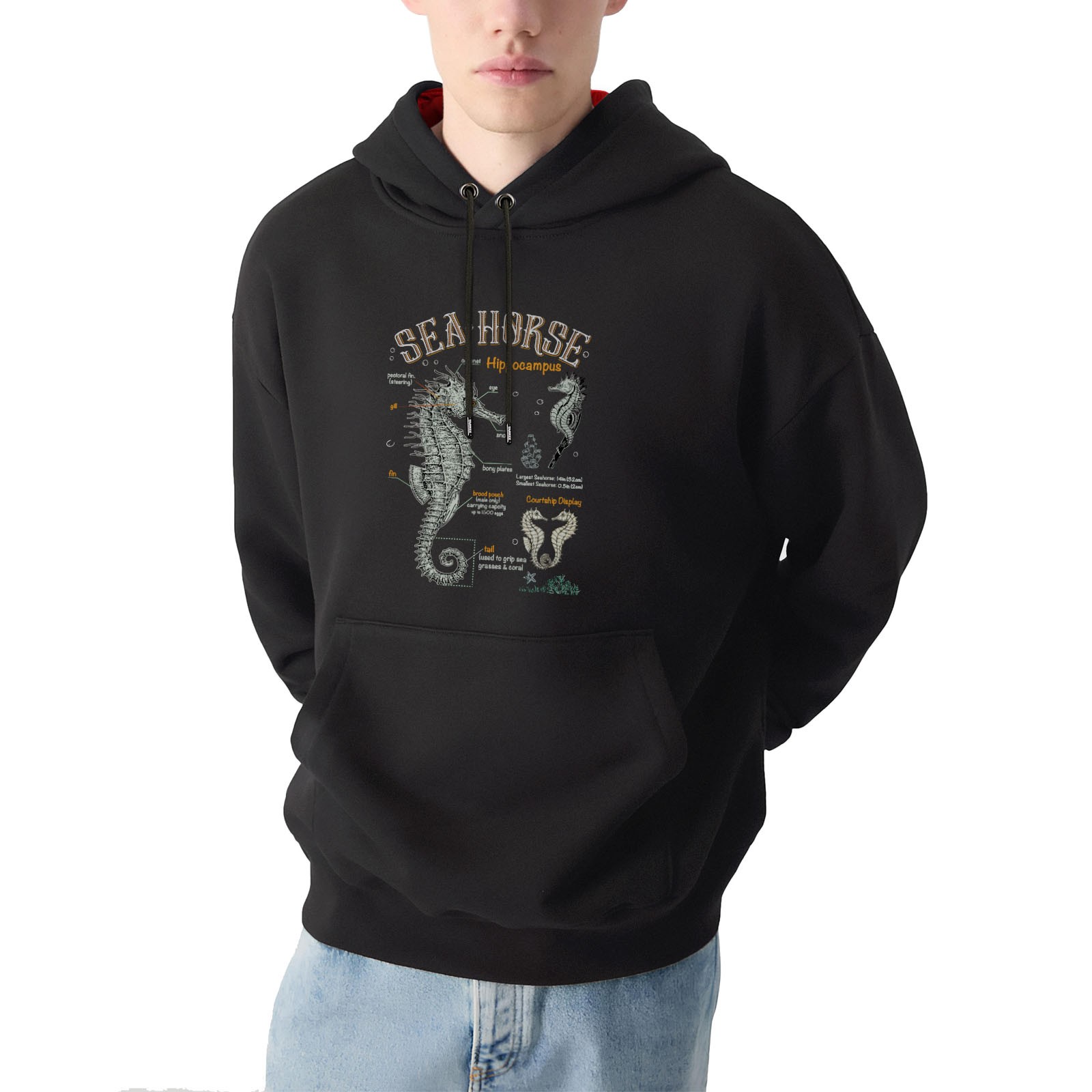 Sea Horse Tasarım Kapşonlu Sweatshirt