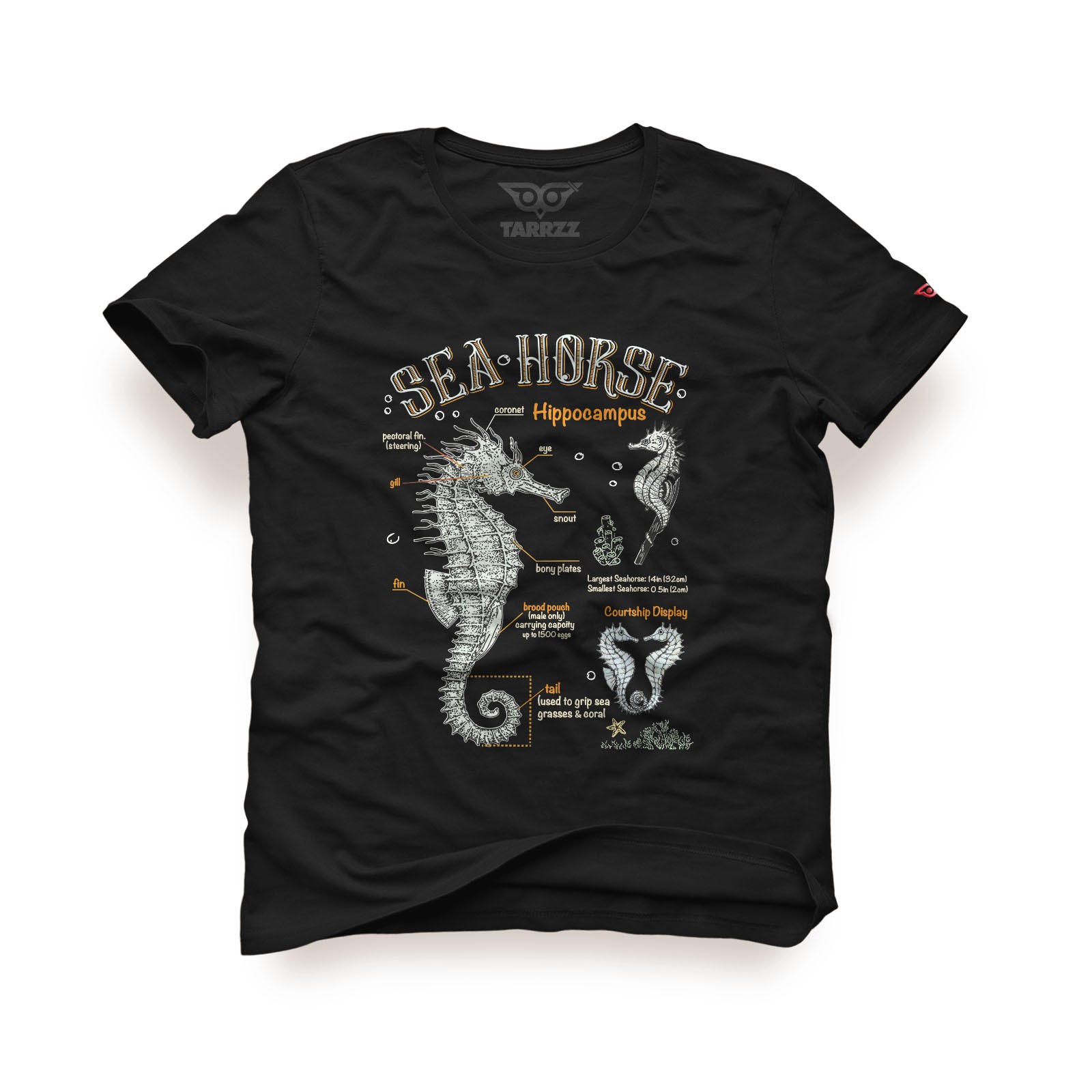 Sea Horse Graphic Tee