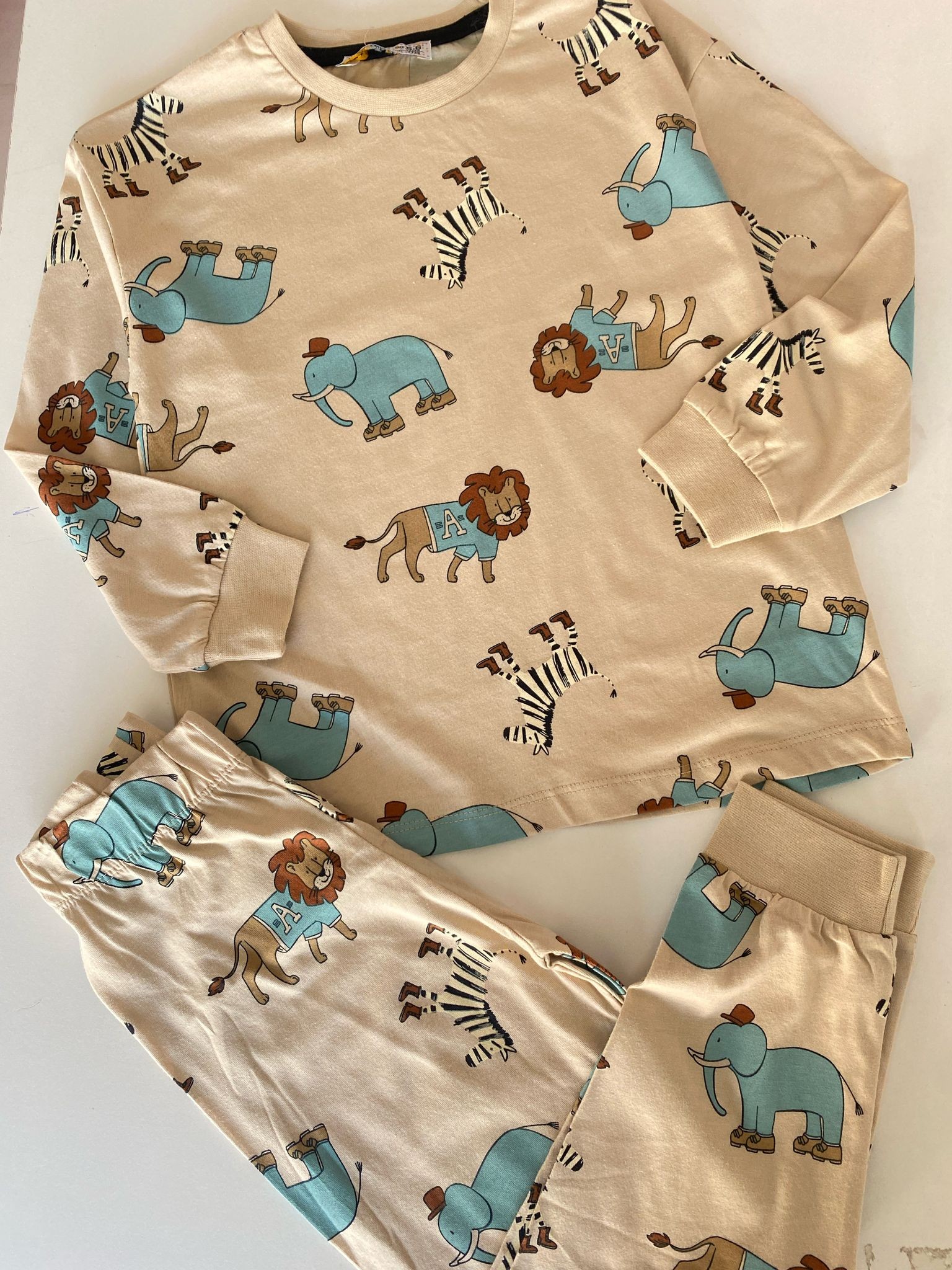 Erkek Çocuk Pijama Takımı
