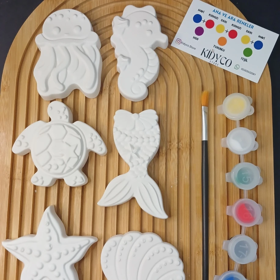 Kidyco Deniz Temalı Taş Boyama Seti