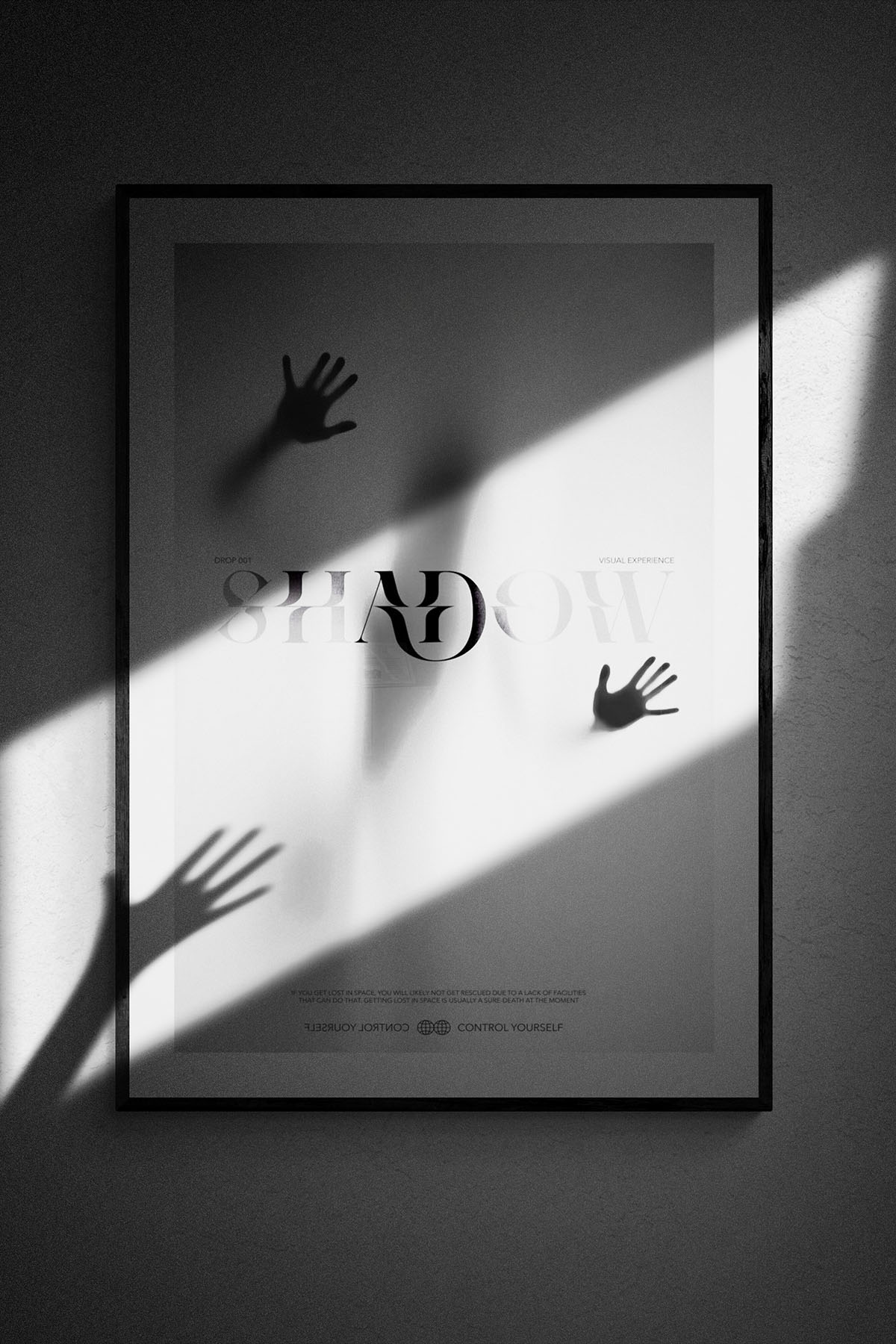 Shadow Poster