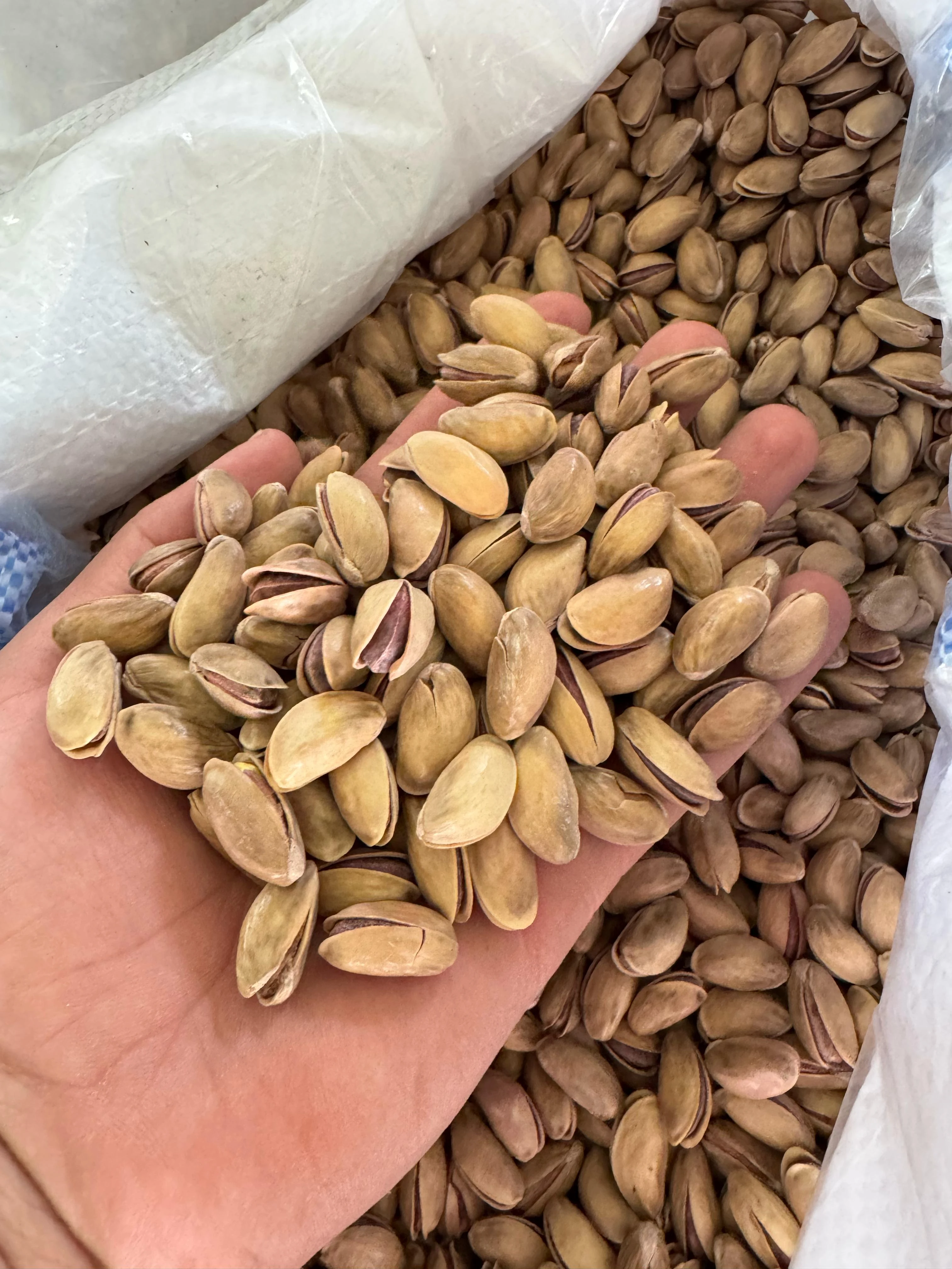 Premium Kavrulmuş Antep Fıstığı 100Gr