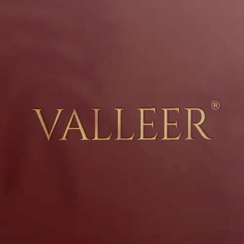 Valleer- The Minimalist logo