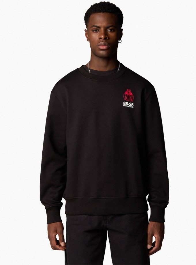 The North Face U Mnt Jacket Anniversary Relaxed Crew Erkek Sweatshirt NF0A8DN6-JK3
