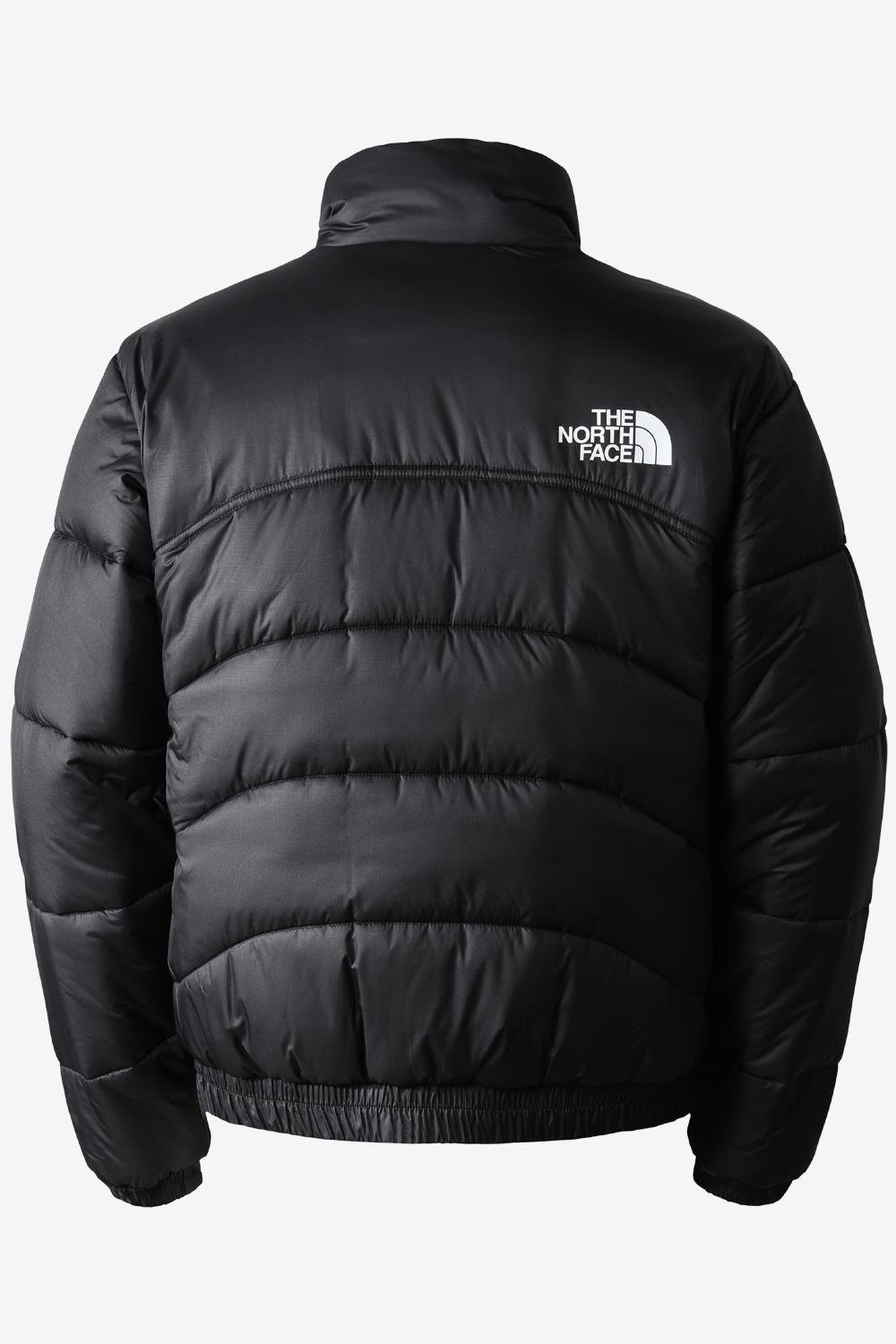 The North Face M Tnf Jacket 2000 Erkek Mont NF0A7URE_JK3_