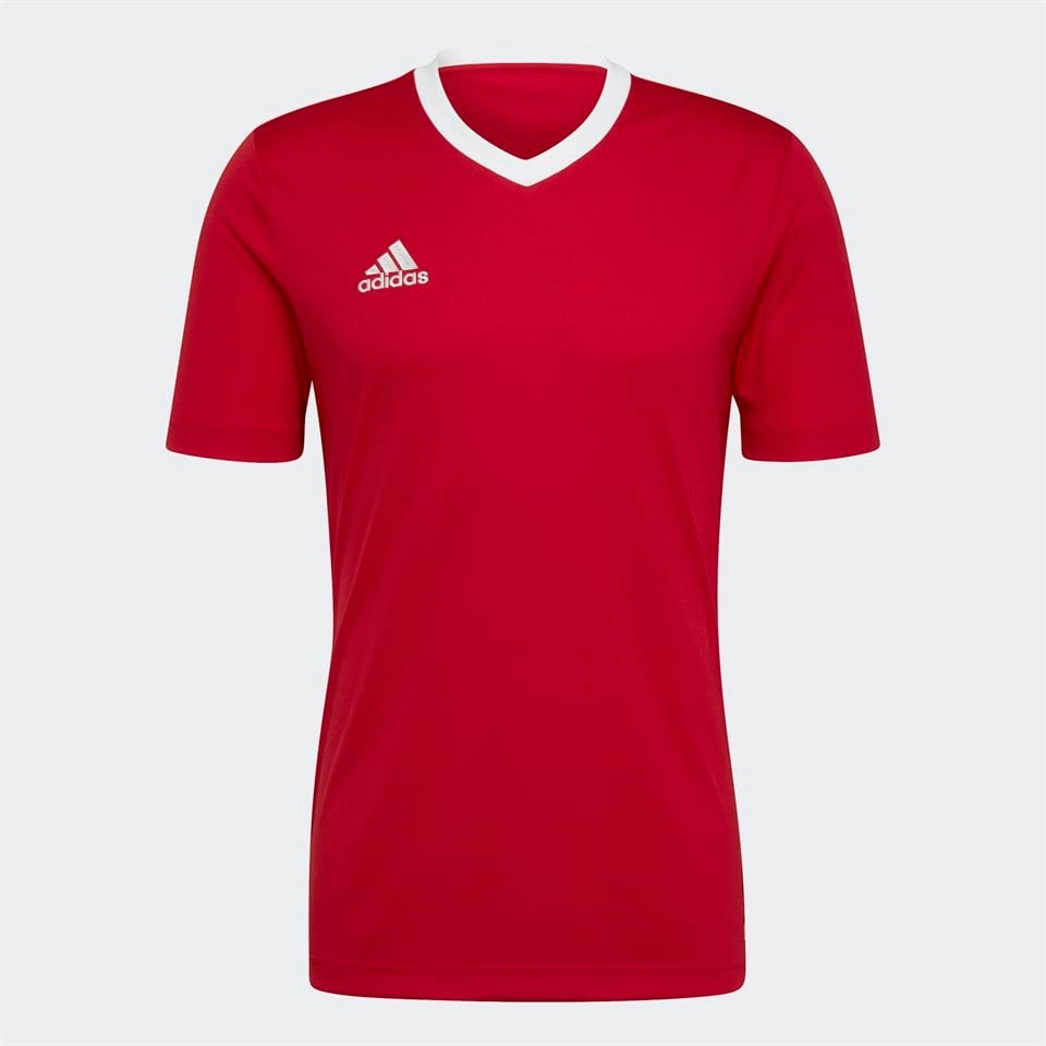 Adidas Entrada 22 Jersey Erkek Forma