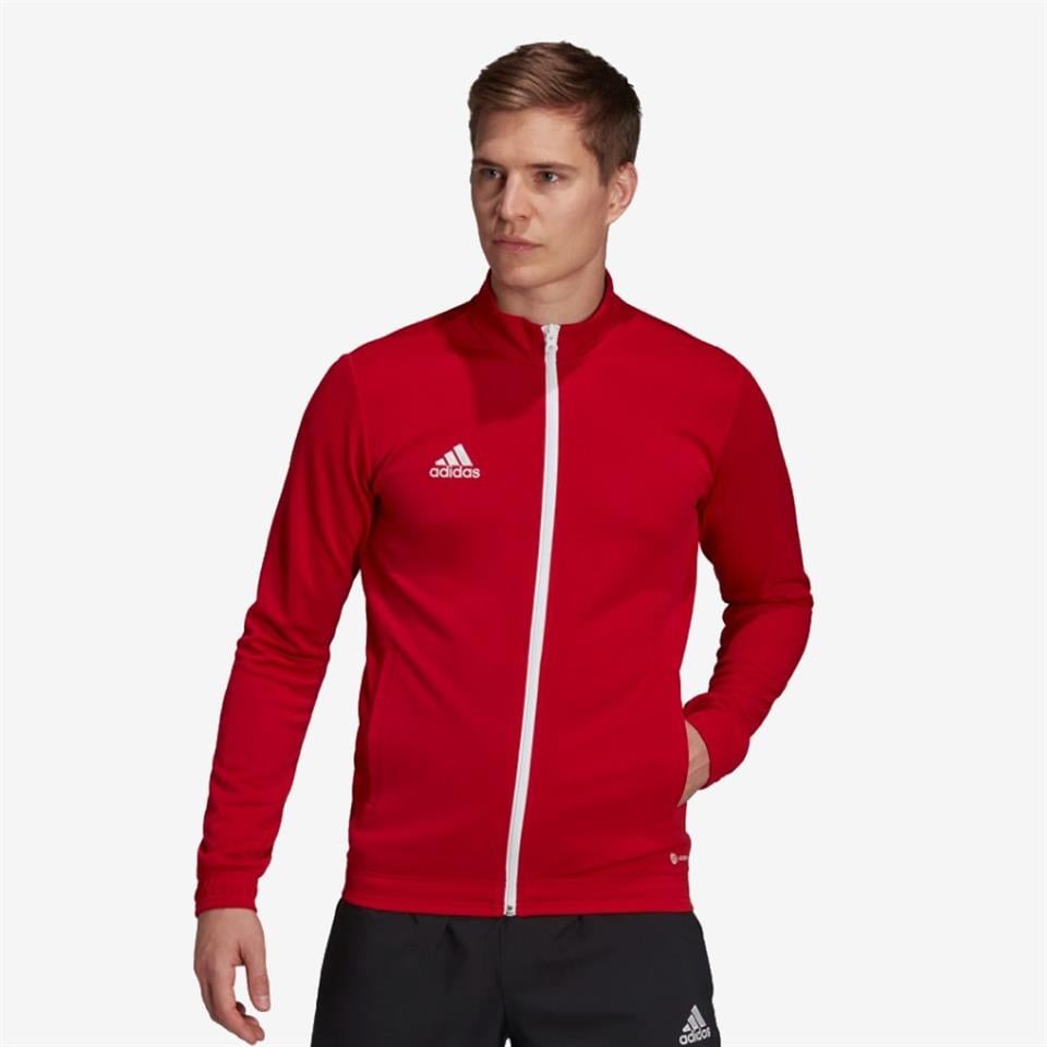 Adidas Entrada 22 Track Jacket Erkek Ceket