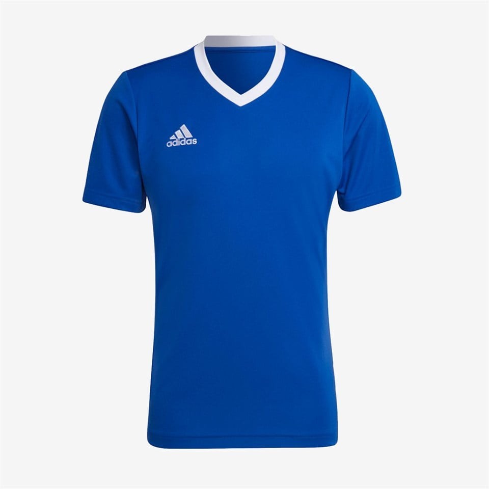 Adidas Entrada 22 Jersey Erkek Forma