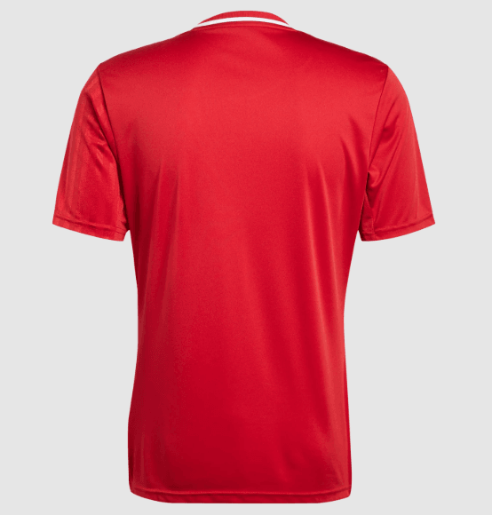 adidas Campeon 25 Jersey Erkek Forma JF6058