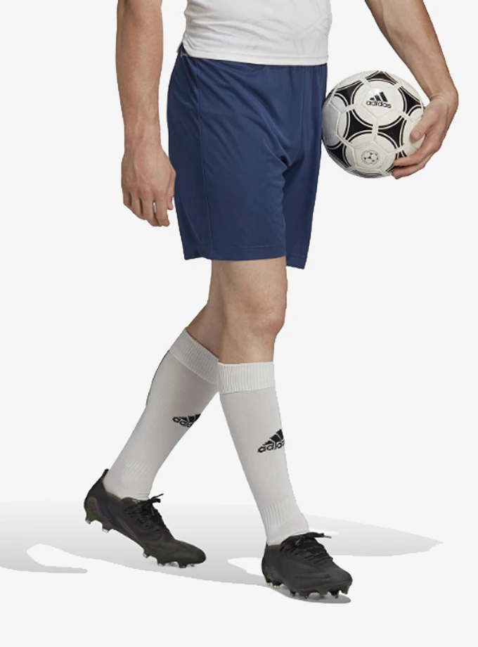 adidas H57506 Entrada 22 Shorts Erkek Maç Şortu 