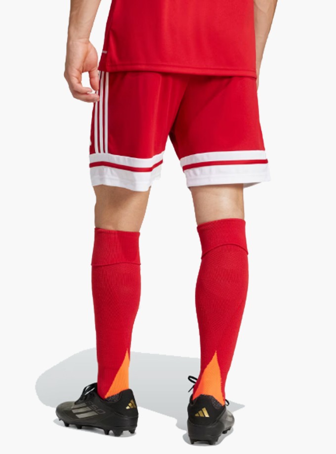 adidas Squadra 25 Training Erkek Maç Şortu JE7745
