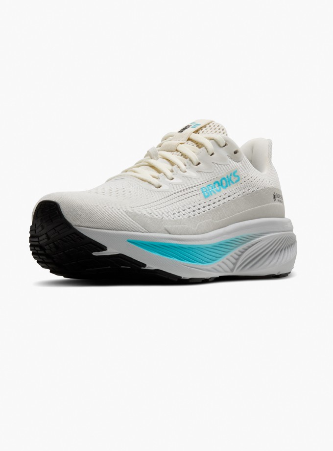 Brooks Ghost 17 Gtx Kadın Koşu Ayakkabısı